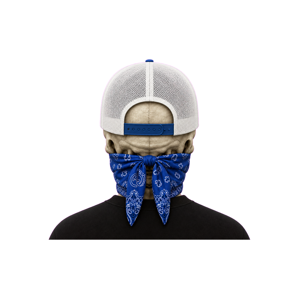 The Bent Rod Curved Bill — Blue/White