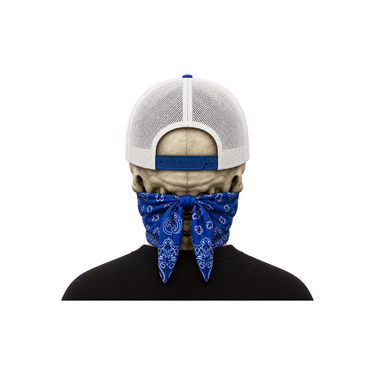 The Bent Rod Curved Bill — Blue/White