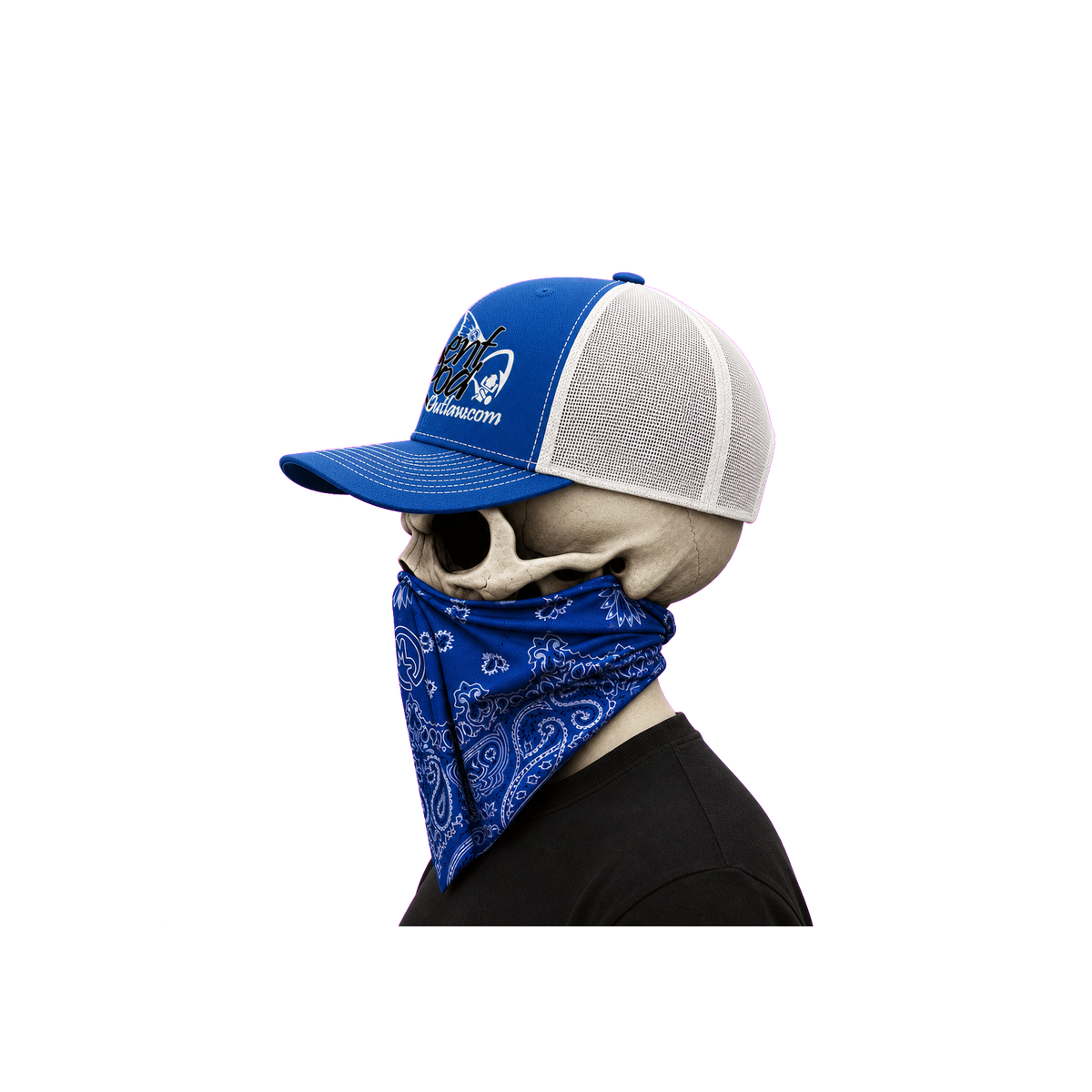 The Bent Rod Curved Bill — Blue/White