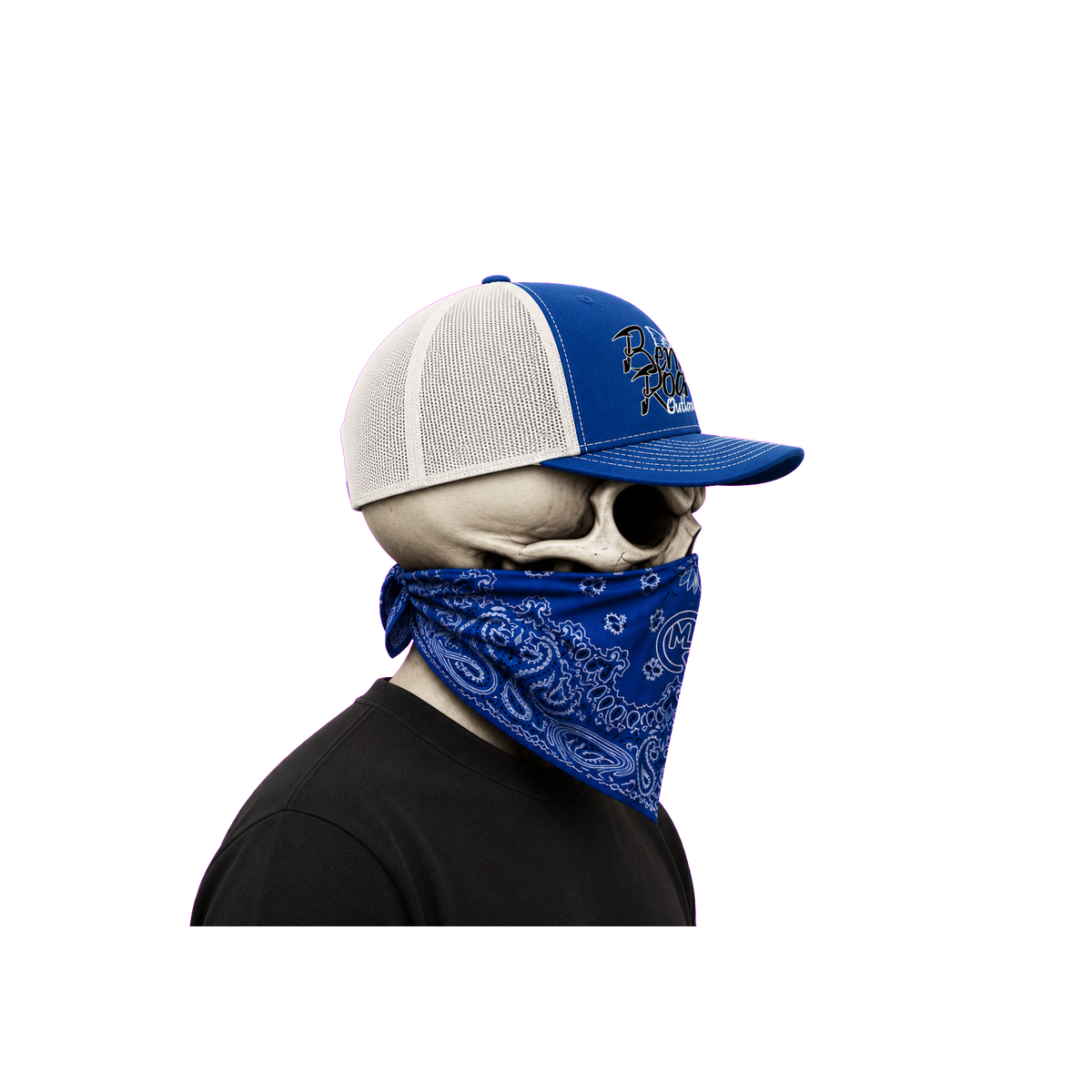 The Bent Rod Curved Bill — Blue/White