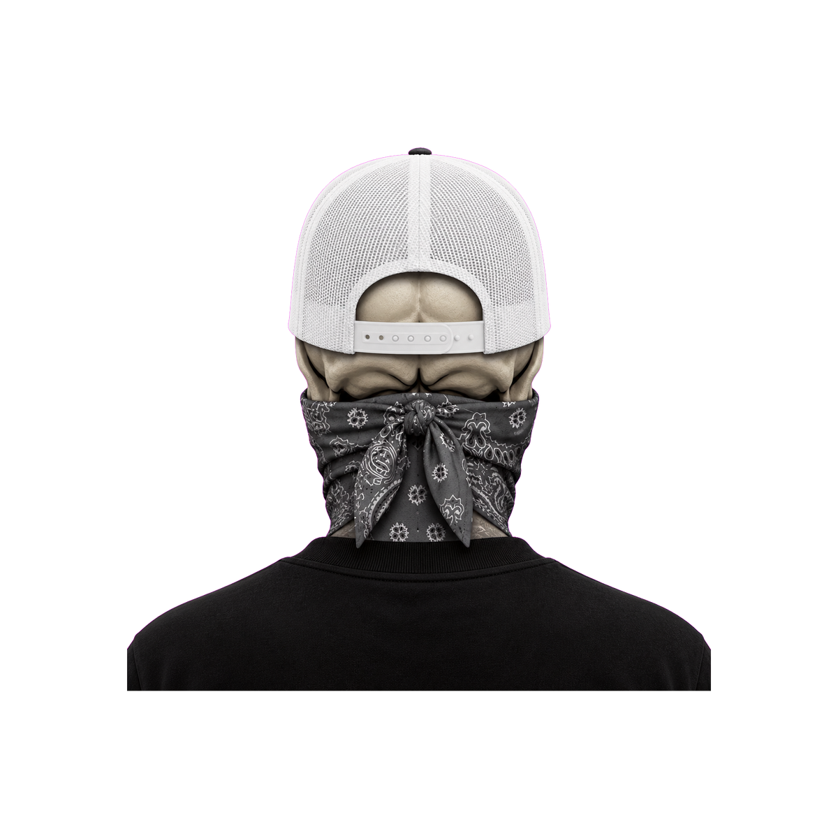 The Bent Rod Curved Bill — Gray/White