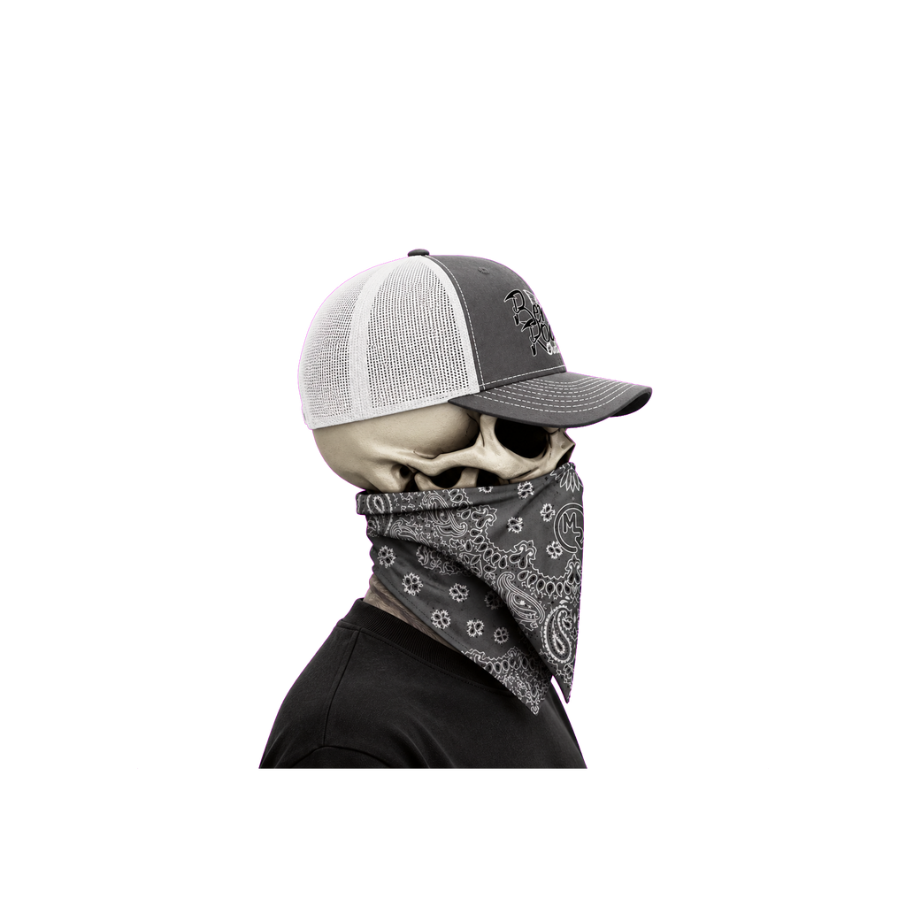 The Bent Rod Curved Bill — Gray/White