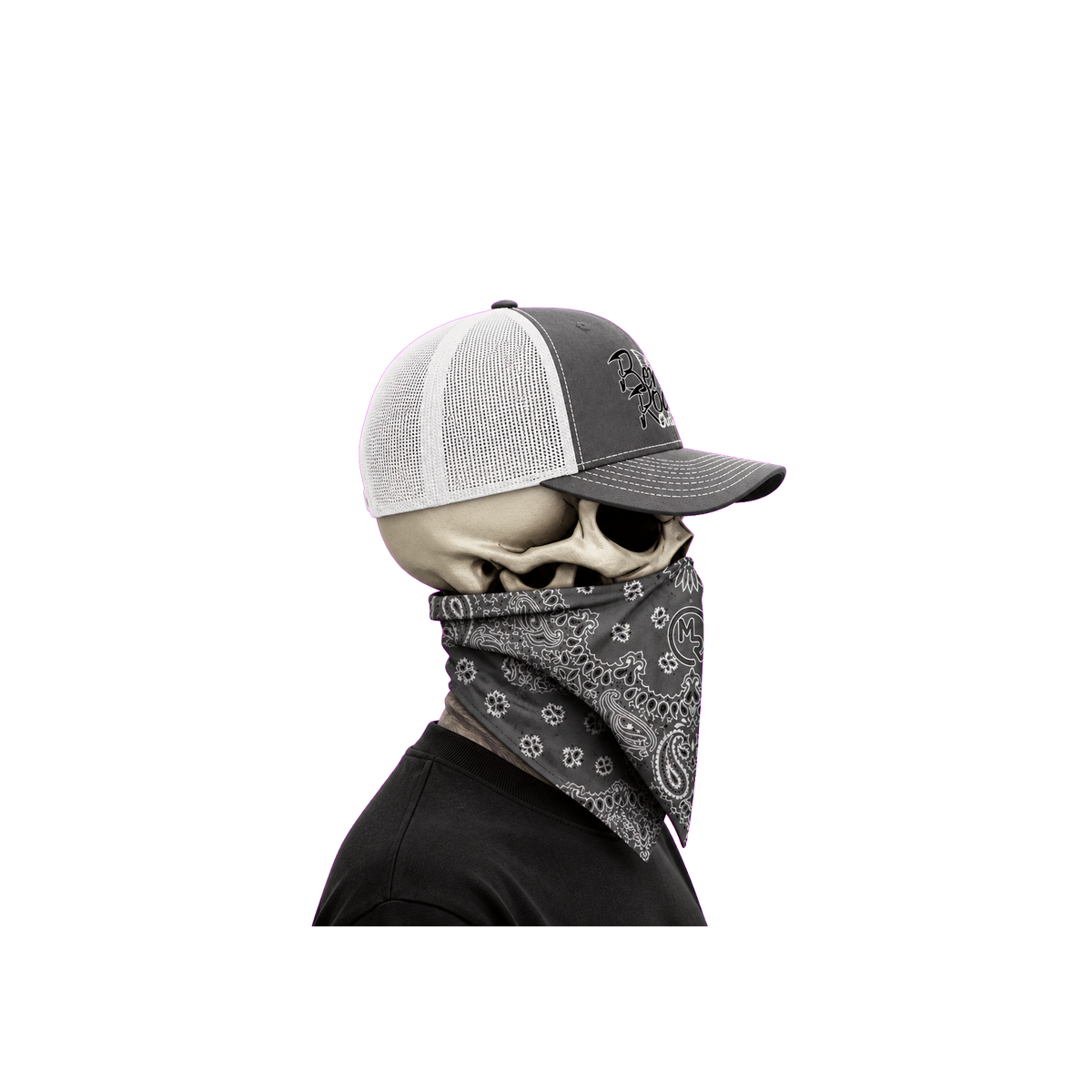The Bent Rod Curved Bill — Gray/White