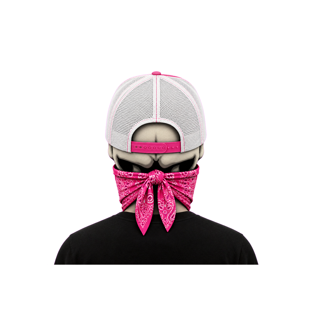 The Bent Rod Curved Bill — Pink/White
