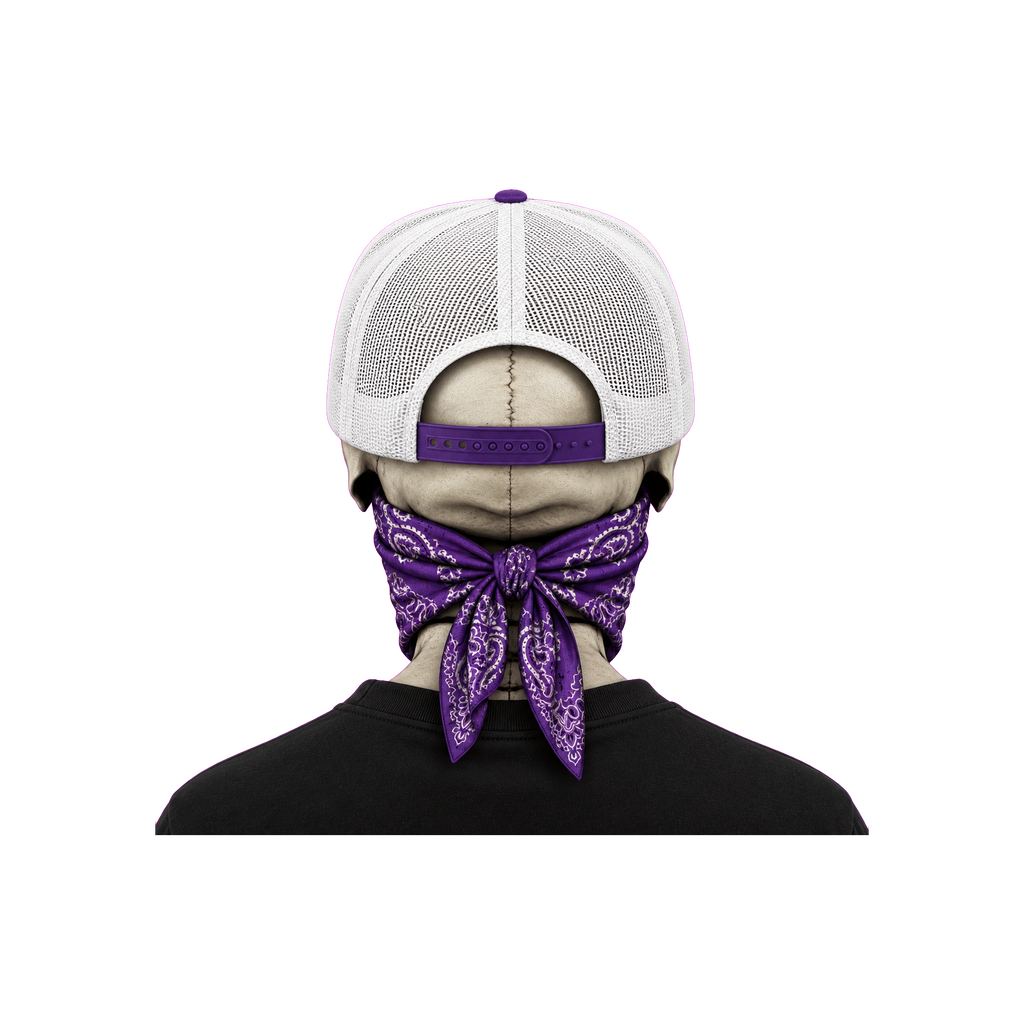 The Bent Rod Curved Bill — Purple/White